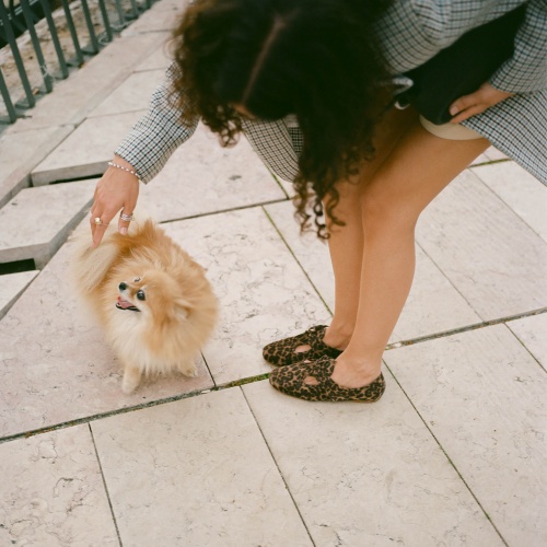 Parpar półbuty, cętki welur | Balagan Studio